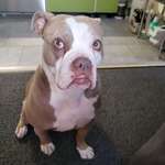 Ersteller:in Nathalie Profilbild