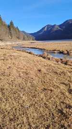 Hundeauslaufgebiet-Lödensee-Bild