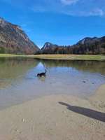 Hundeauslaufgebiet-Lödensee-Bild