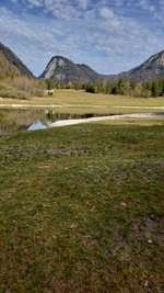 Hundeauslaufgebiet-Lödensee-Bild