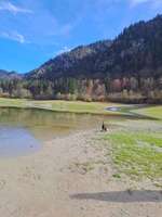 Hundeauslaufgebiet-Lödensee-Bild