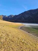 Hundeauslaufgebiet-Lödensee-Bild