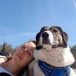 Ersteller:in Susanne Profilbild