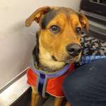 Ersteller:in Antje Profilbild