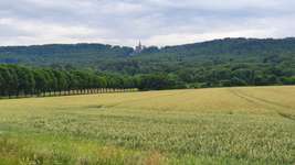 Hundeauslaufgebiet-Hessenschanze/Prinzenquelle-Bild