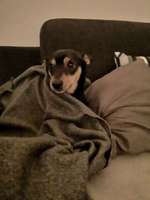 Schlafzeit!💖-Beitrag-Bild