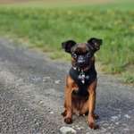 Ersteller:in Marc-Justin Profilbild