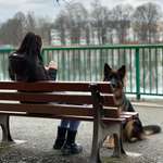 Ersteller:in Vivyen Profilbild