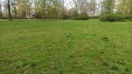 Hundeauslaufgebiet-Volksgarten Sellerhausen-Bild