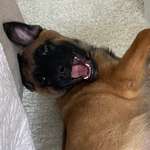 Ersteller:in Sophie Profilbild