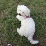 Ersteller:in Maria Profilbild