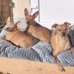 Ersteller:in Kati Profilbild