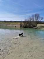 Hundeauslaufgebiet-Allach-Bild