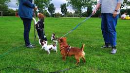 Hundeauslaufgebiet-Freizeitpark Merzenich-Bild