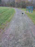 Hundeauslaufgebiet-Freizeitpark Merzenich-Bild