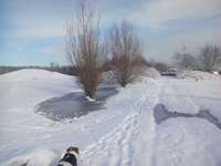 Hundeauslaufgebiet-Freizeitpark Merzenich-Bild