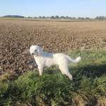 Ersteller:in H.M. Profilbild