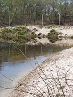 Hundeauslaufgebiet-Zum Rugenbarg-Bild