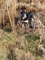 Muskelzittern-Beitrag-Bild