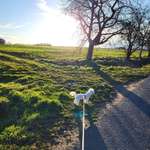 Ersteller:in Jasmin Profilbild