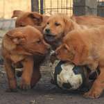 Ersteller:in Nicole Profilbild