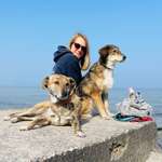 Ersteller:in Kira Profilbild