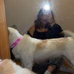 Ersteller:in Lauri Profilbild