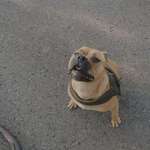 Ersteller:in Kevin Profilbild