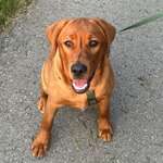 Ersteller:in Anna-Lena Profilbild