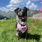 Ersteller:in Laurène Profilbild