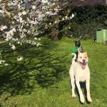 Ersteller:in Laurène Profilbild