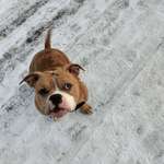 Ersteller:in ARKONA Profilbild