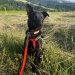 Ersteller:in Maxi Profilbild