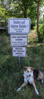 Hundeauslaufgebiet-Obernzenner See-Bild