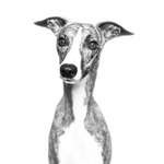 Ersteller:in Anna-Lena Profilbild