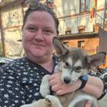 Ersteller:in Nicole Profilbild