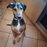 Ersteller:in Marion Profilbild