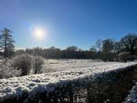 Hundeauslaufgebiet-Hundisburger Schlosspark-Bild