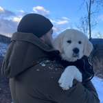 Ersteller:in Yavuz Profilbild