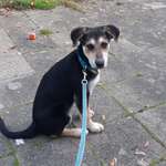 Ersteller:in Nicole Profilbild