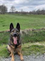 Hundeauslaufgebiet-Lilienthal Golfplatz-Bild