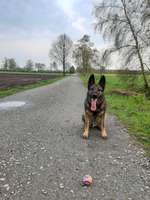 Hundeauslaufgebiet-Lilienthal Golfplatz-Bild