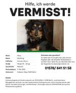 Suchmeldung-Maya-Bild