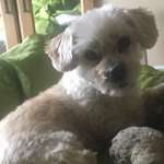 Ersteller:in H.-J. Profilbild