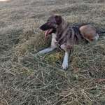 Ersteller:in Irene Profilbild