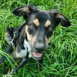 Ersteller:in Jennifer Profilbild