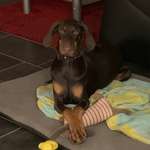 Ersteller:in Christel Profilbild