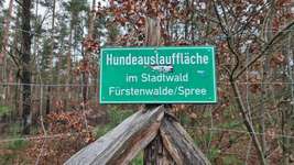 Hundeauslaufgebiet-Wiese Stadt Fürstenwalde Nord-Bild