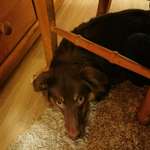 Ersteller:in Steven Profilbild