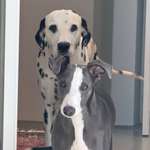 Ersteller:in Laura Profilbild